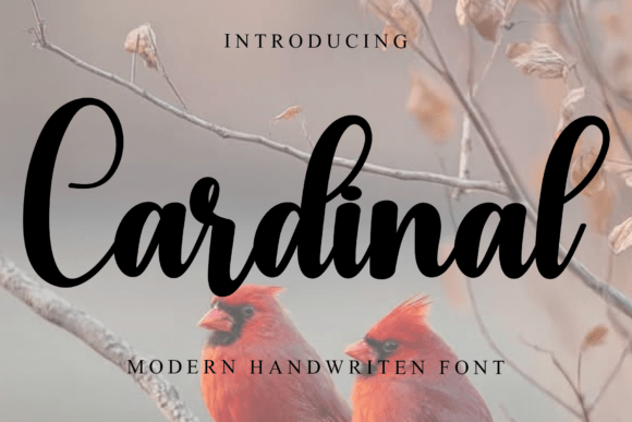 Cardinal: A Festive Typeface for Holiday Magic